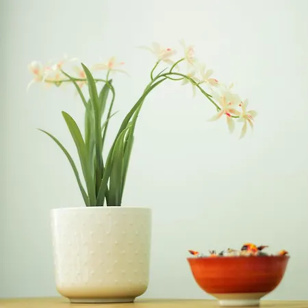 Domus Gianicolo 2b