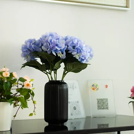 Daire Domus Gianicolo 2b Roma